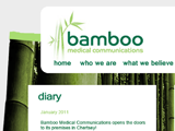 Web Design for Bamboo medical Communications
